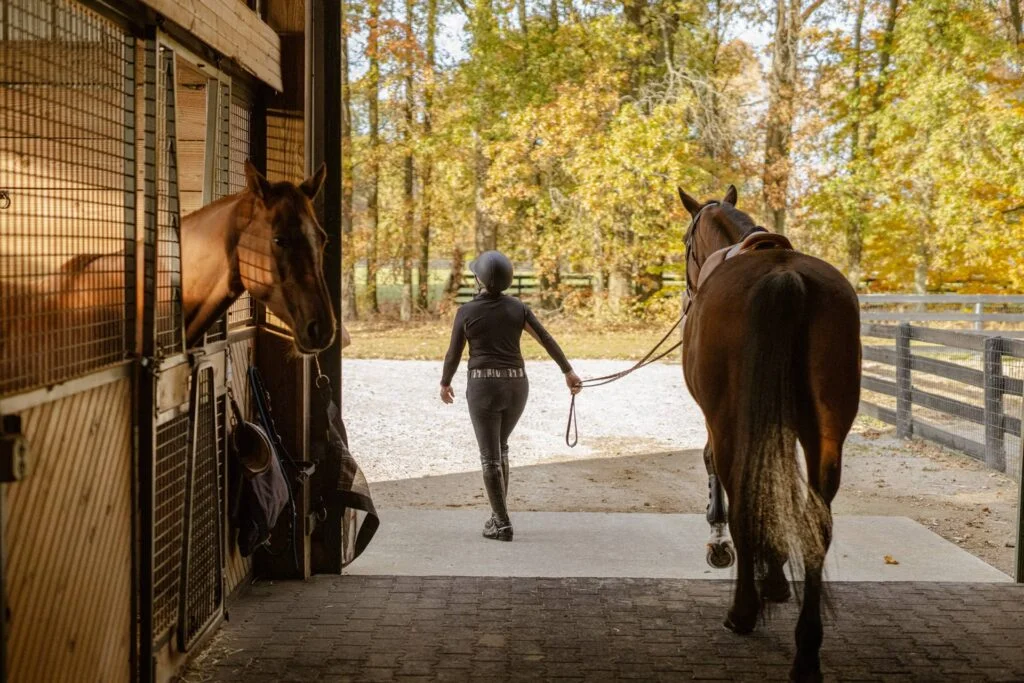 Photo of a person guiding their horse out of a barn at Still Water Farm on a sunny autumn day