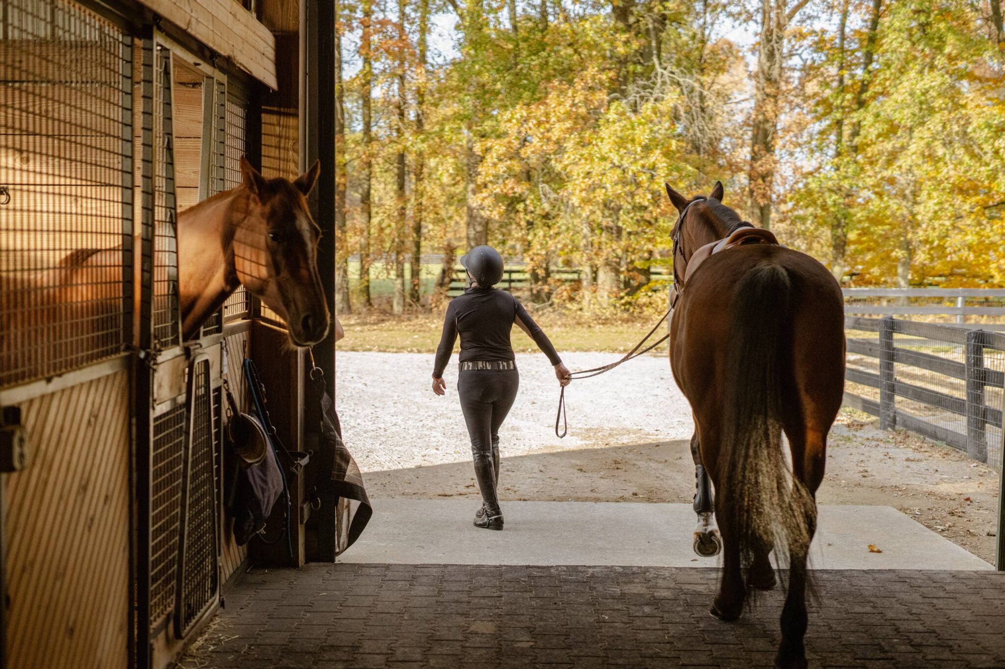 Horse Boarding Near Cincinnati Still Water Farm