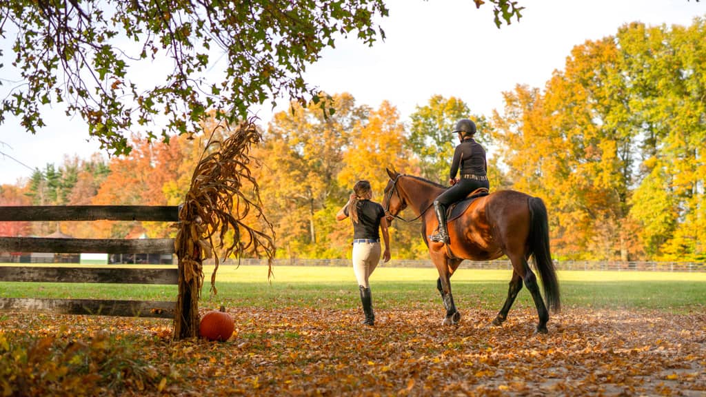 A horse with a rider and trainer at their side walking into a field at Still Water Farm on a sunny autumn day with leaves on the ground and a pumpkin next to a fence in the foreground
